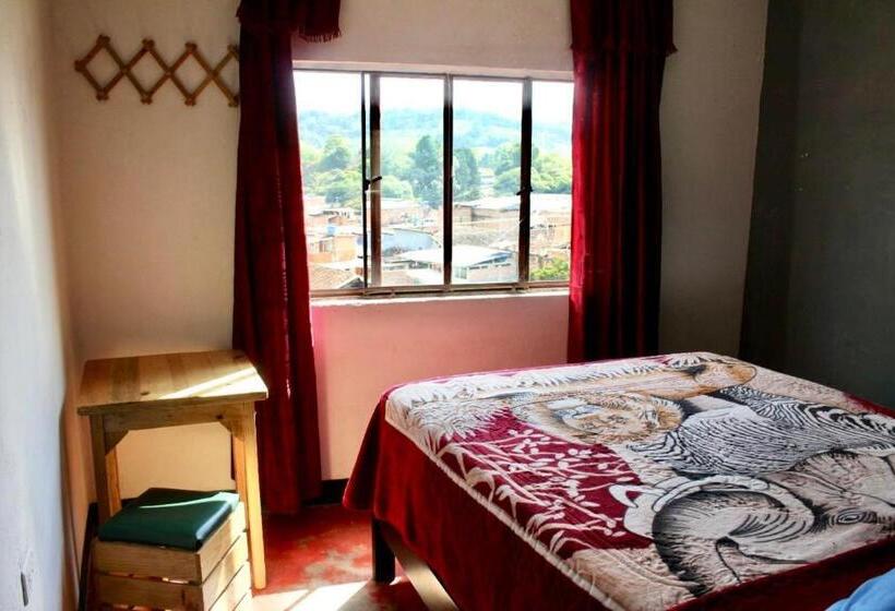 هاستل Hostal Música Y Arte