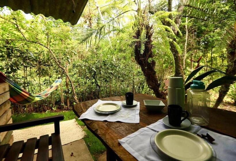 Pension Recanto Dos Pássaros Hospedaria Zen E Banho De Floresta Arua