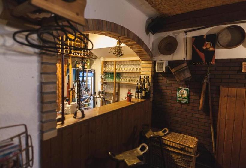 پانسیون Penzion Alpský Dům