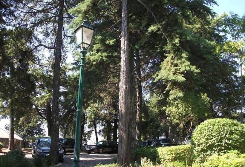 مبيت وإفطار Casa Dos Bordados