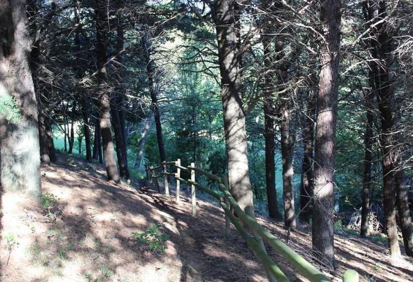 فندق Agriturismo B&b Bio La Tana Del Lele