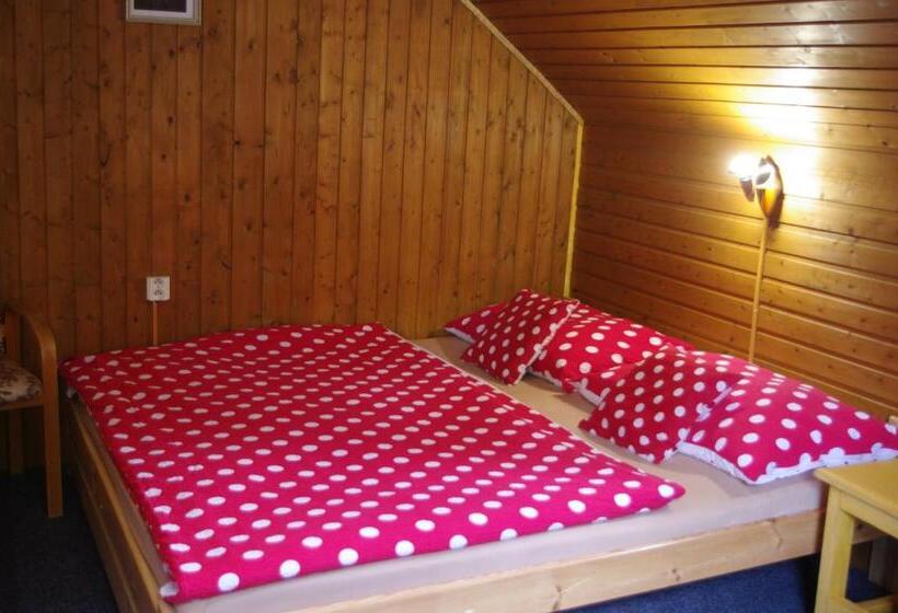 پانسیون Penzion U Lebedů