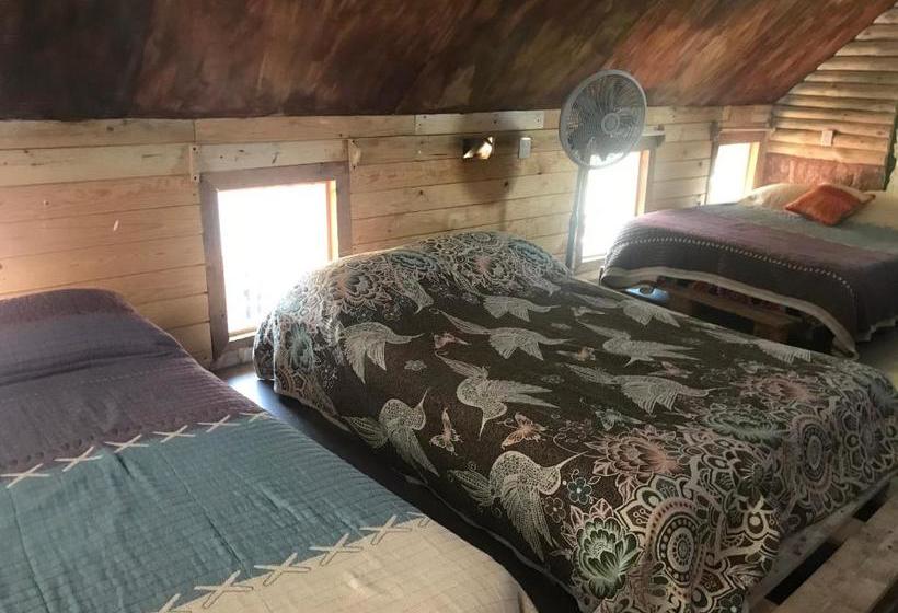 بنسيون Cabañas La Roca