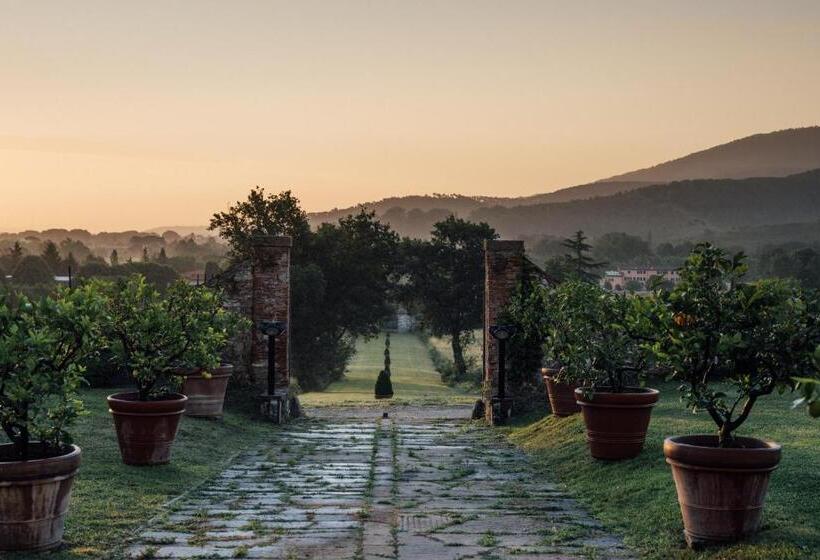 Buonvisi B&b