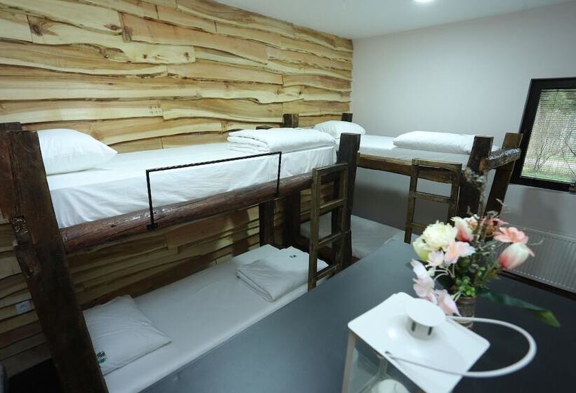 Casa De La Montaña   Adults Only   Hostel