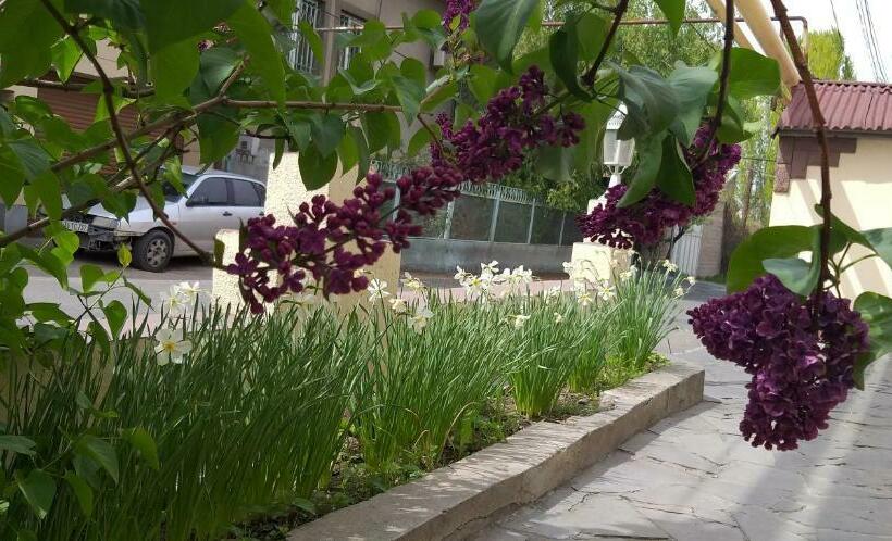 پانسیون Popock City Center