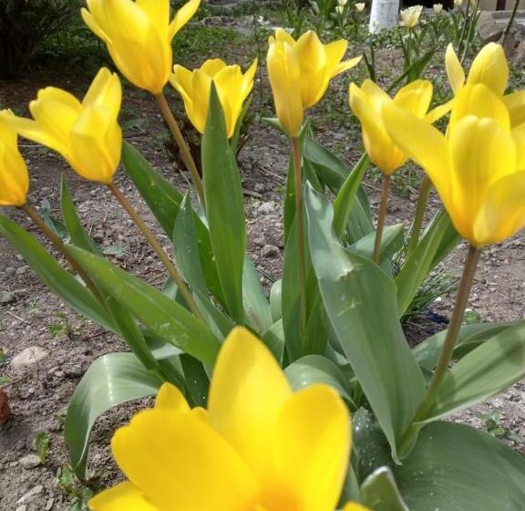 پانسیون Popock City Center