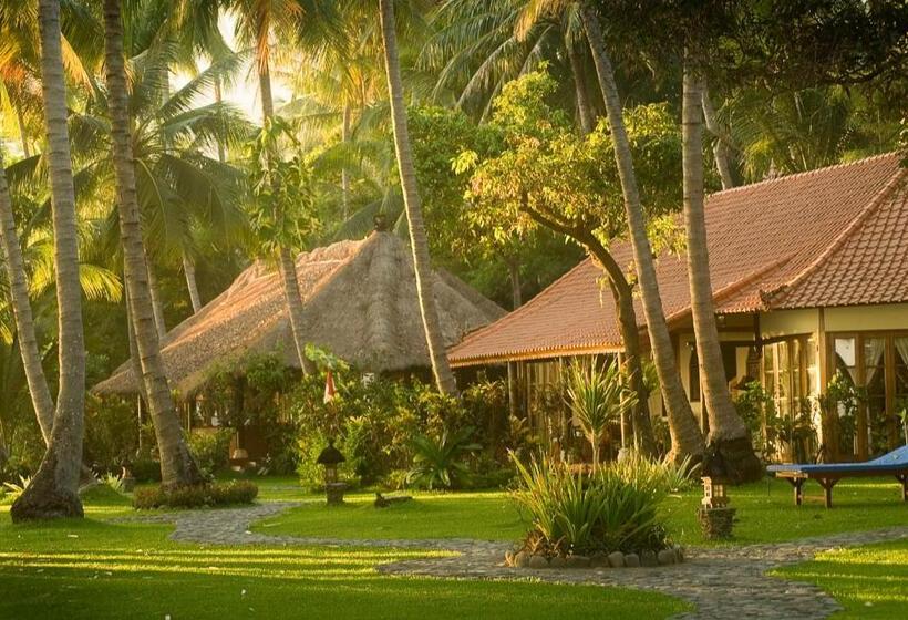 호텔 Gaia Oasis Beach Resort