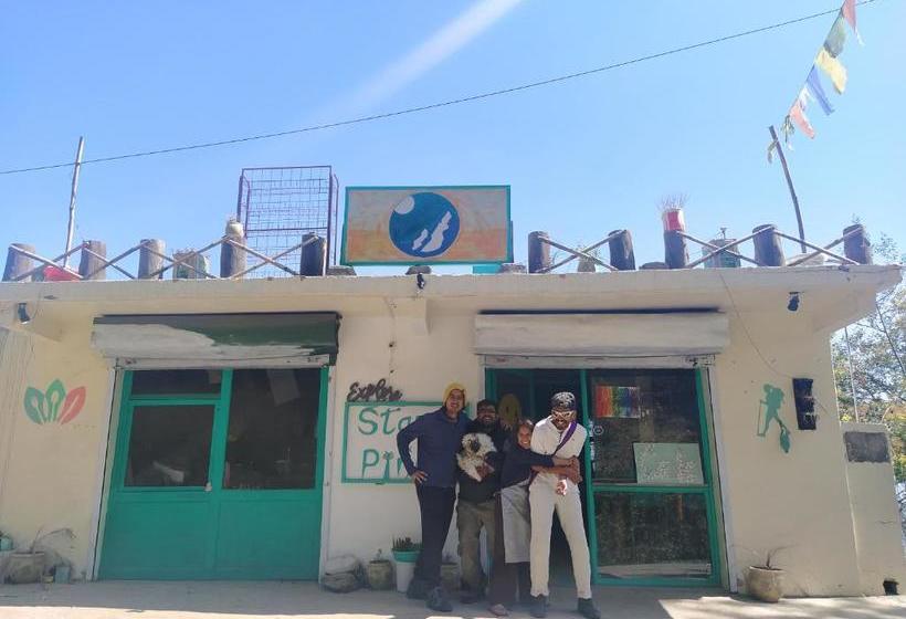 فندق صغير Stars & Pines