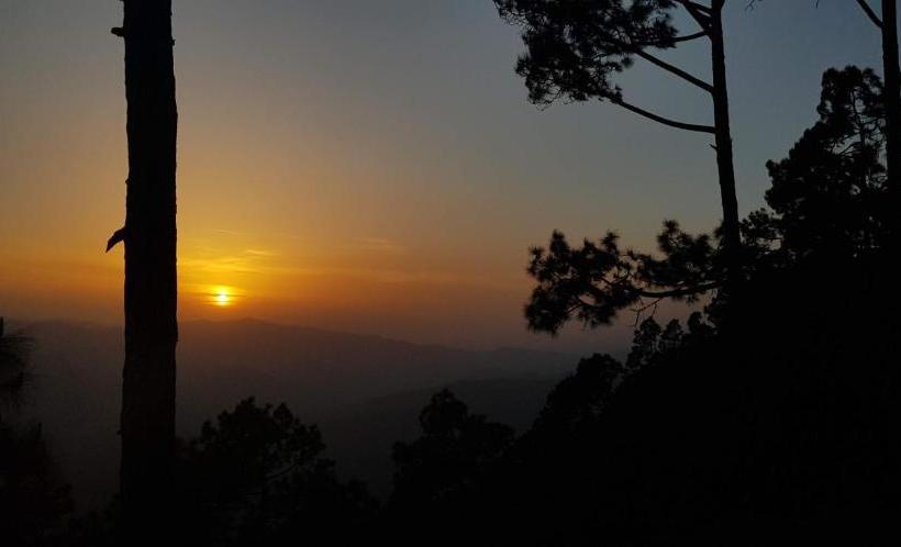 فندق صغير Stars & Pines