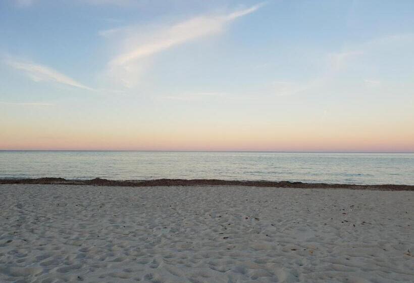 פנסיון Caletta Sul Mare