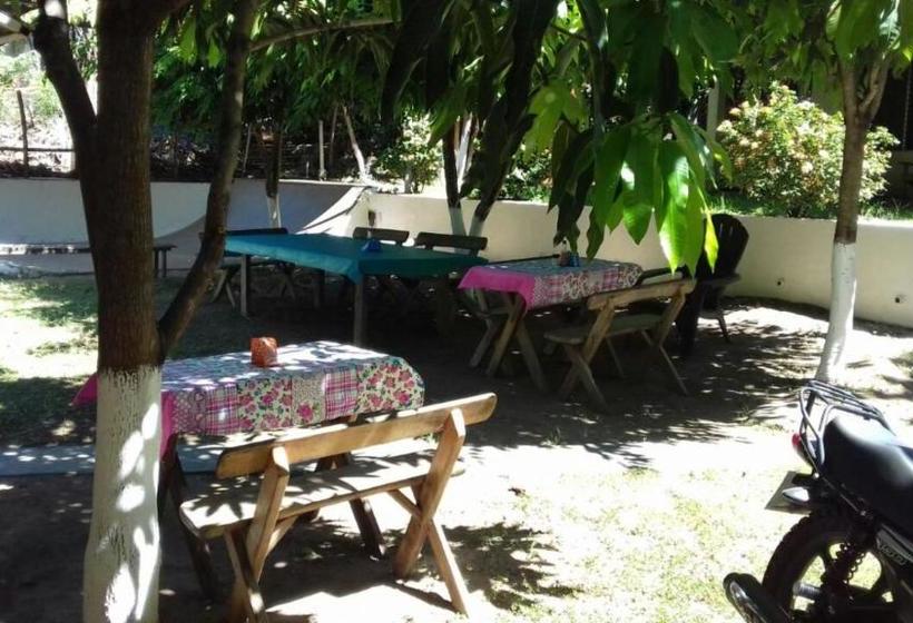فندق صغير Hostal El Balsamo