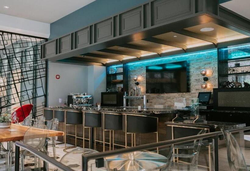 호텔 Indigo   St. Louis   Downtown, An Ihg