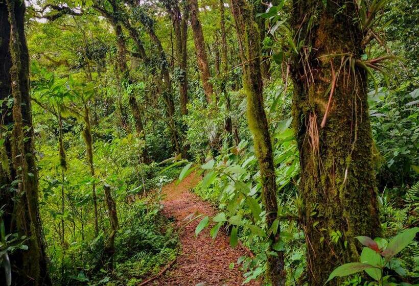 Общежитие Burbi Lake Lodge Monteverde