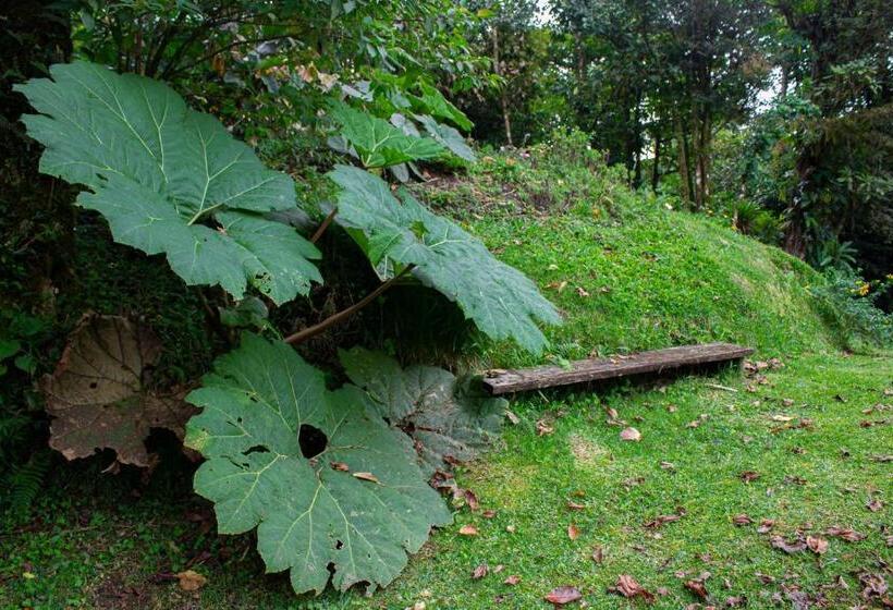 Общежитие Burbi Lake Lodge Monteverde