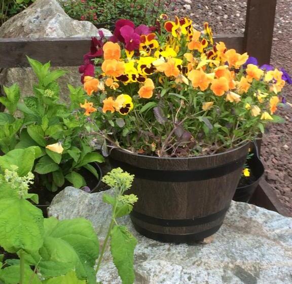 Bed and Breakfast Bonnie Haven