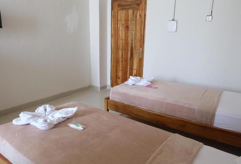 تختخواب و صبحانه Sky Bajo Hostel