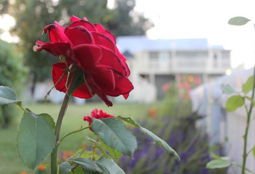 住宿加早餐  Inn Of The Shenandoah