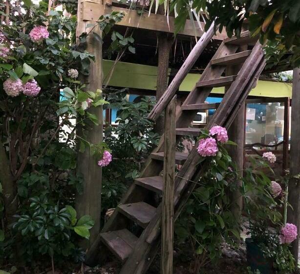 هاستل El Cuento Del Gainford