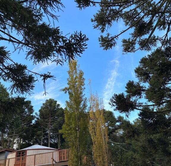 ユースホステル Solar Do Oriente   Yurt Ecovillage