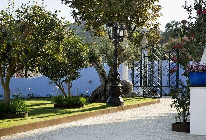 Bed and Breakfast Ninho Saloio