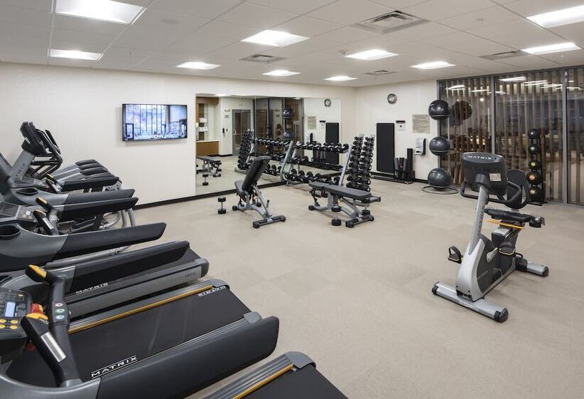 בית מלון כפרי Springhill Suites By Marriott Tampa Suncoast Parkway