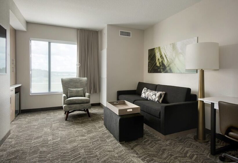 בית מלון כפרי Springhill Suites By Marriott Tampa Suncoast Parkway