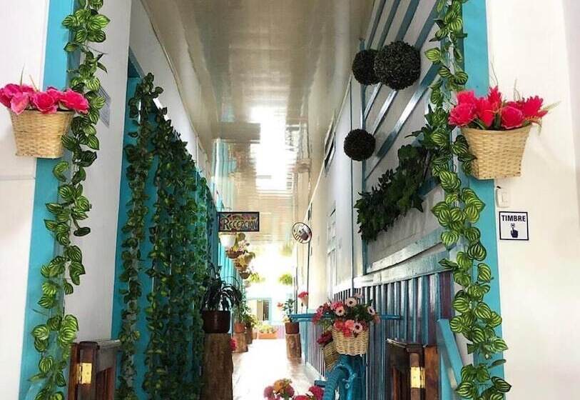 پانسیون Hostal Don Julio