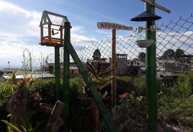 هاستل Vivienda Turistica Yerbabuena