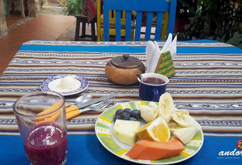 پانسیون Andoriña Hostal   Bed & Breakfast