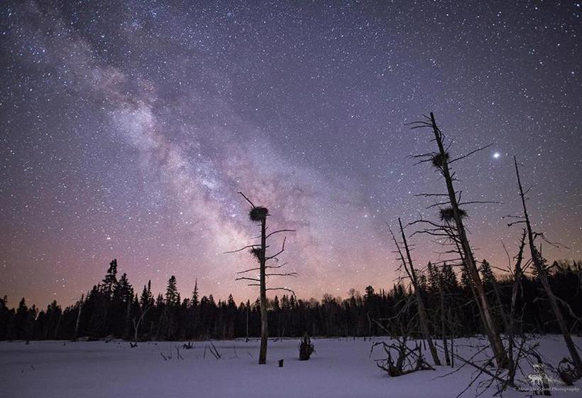 The Mad Musher   Hostel