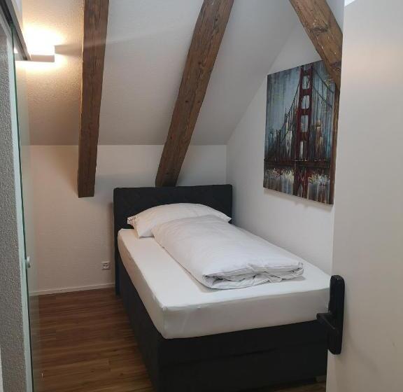 فندق صغير Landgasthof Schwanen