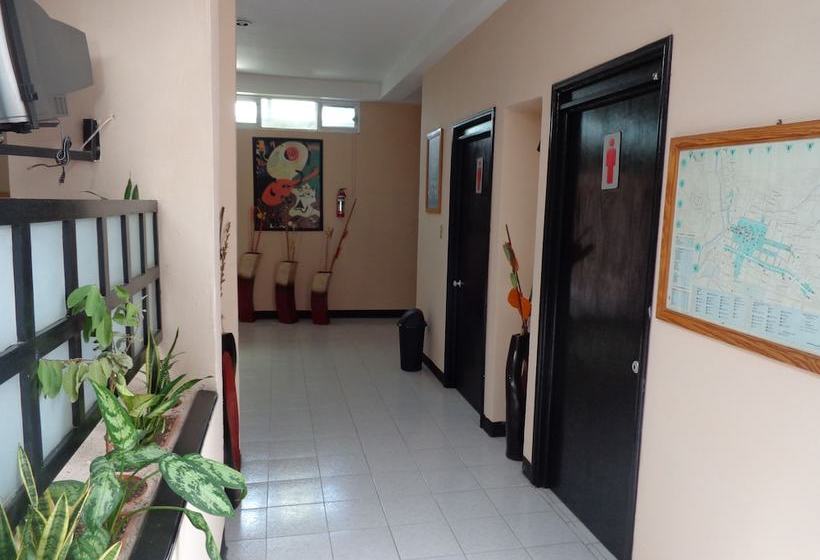 فندق Bugambilias