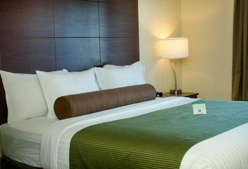 Отель Cobblestone Inn & Suites   Soda Springs