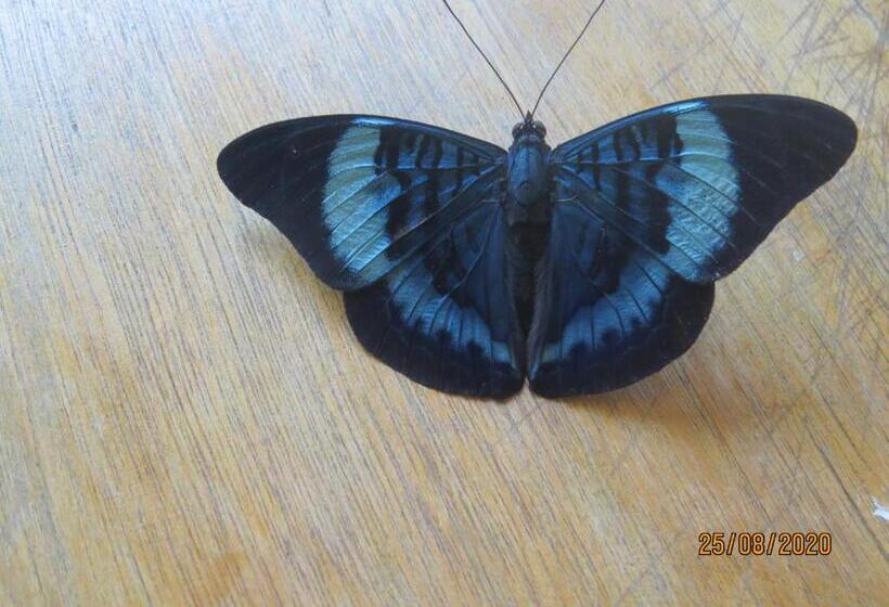 هتل Eware Refugio Amazonico