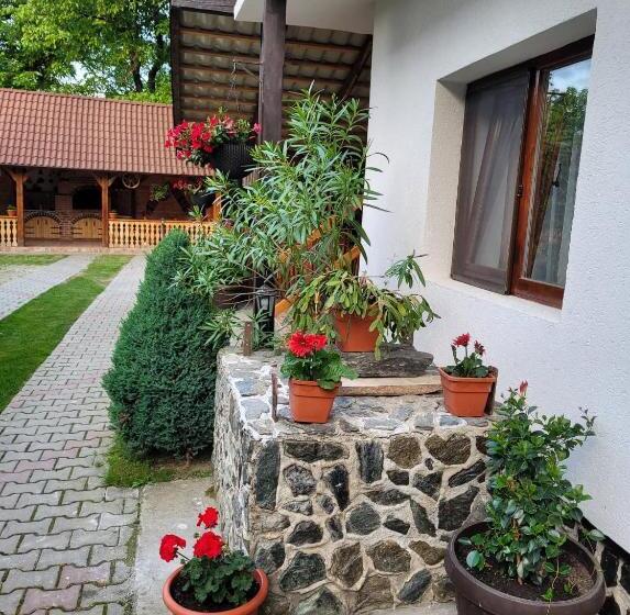 پانسیون Casa Floare De Colt