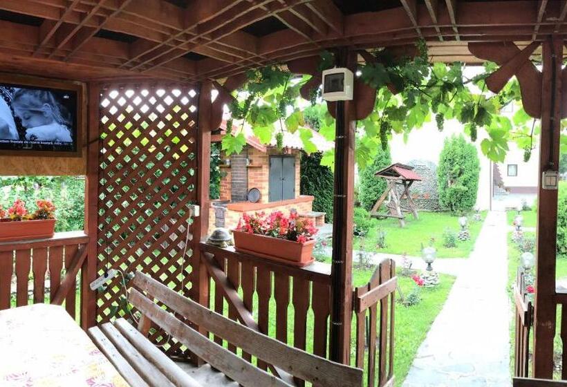 膳宿费 Dor De Munte