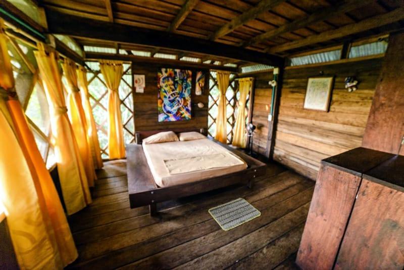 Общежитие Ayahuasca