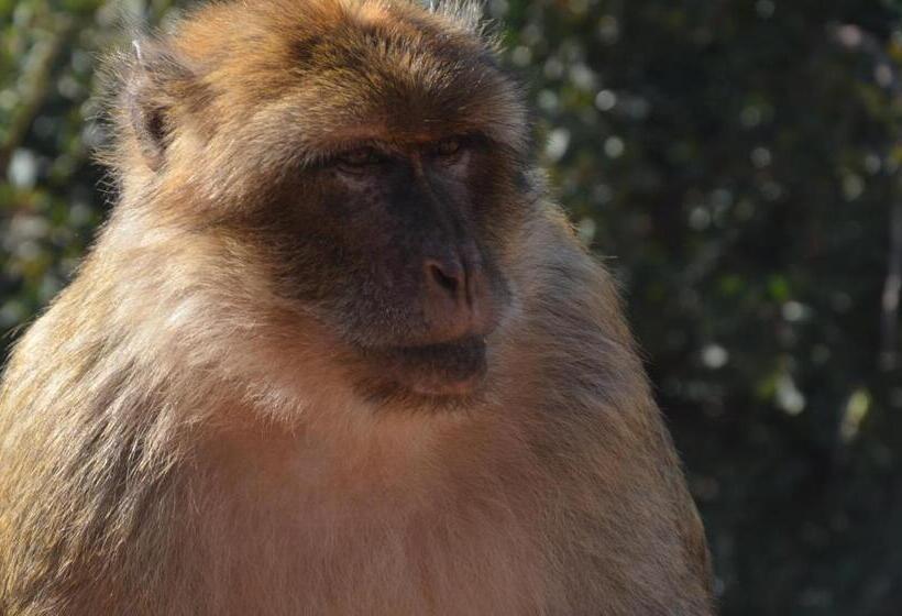 فندق صغير Hôtel Ajil Cascades D'ouzoud