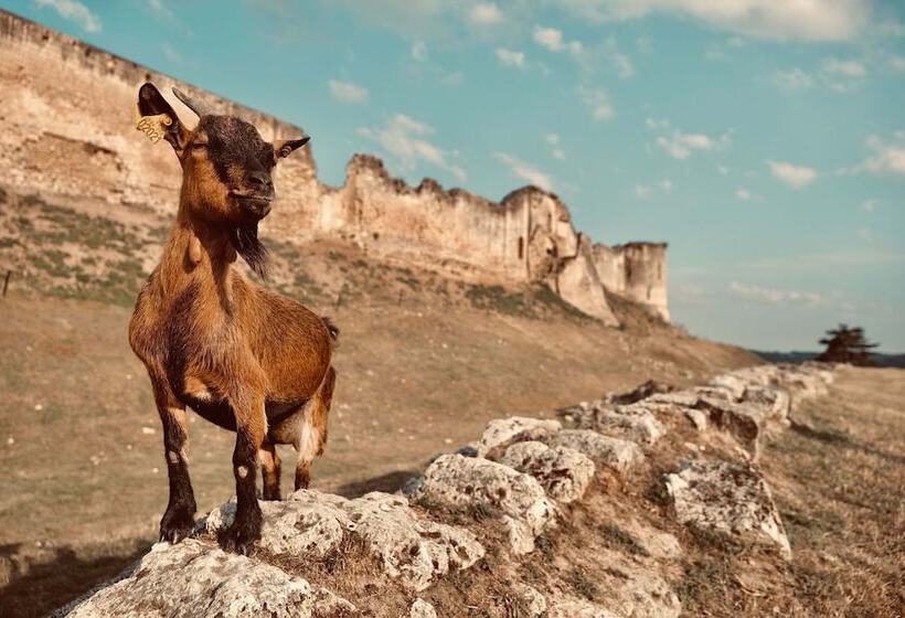 مبيت وإفطار Chez Ric Et Fer