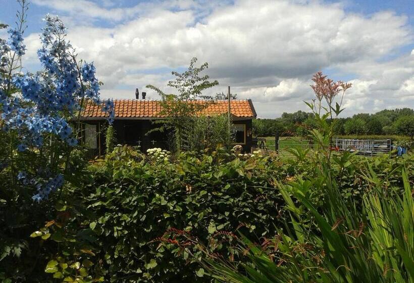 Bed And Breakfast Rodenberg