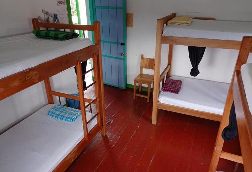 Bidea Backpackers Hostel