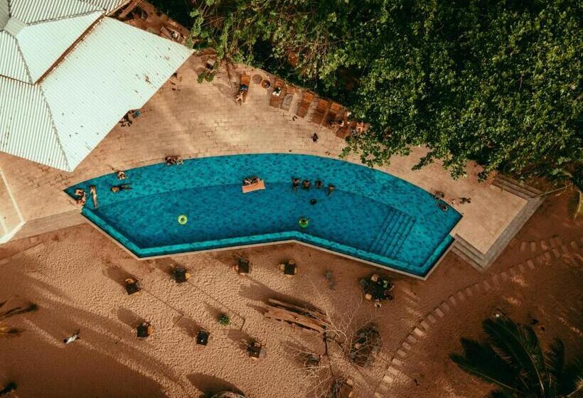 هتل Viajero Tayrona Hostel & Ecohabs