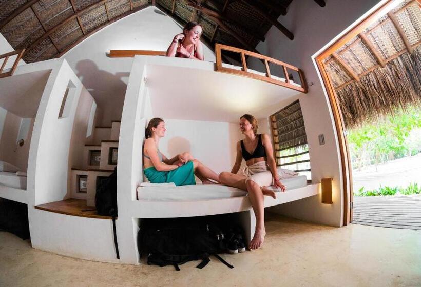 هتل Viajero Tayrona Hostel & Ecohabs
