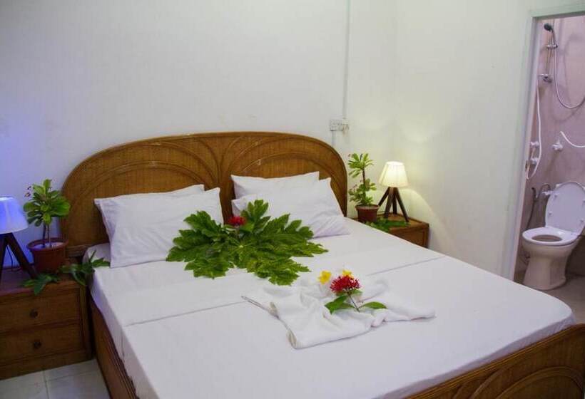 Pension Alvi Star Inn