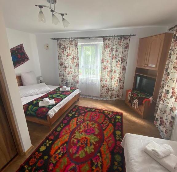פנסיון Floare De Maramures 1