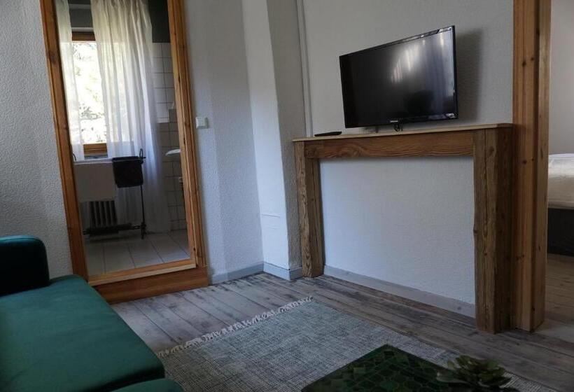 ペンション Garni Altes Winzerhaus Moselschänke