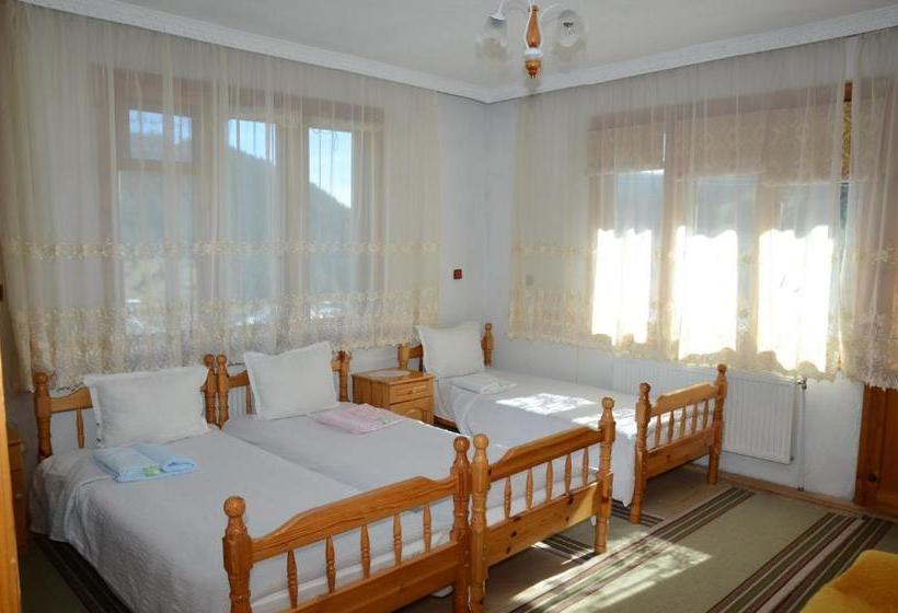 פנסיון Kristal Guest House