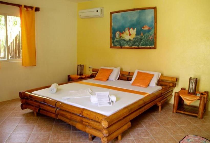 منتجع Divepoint Alcoy