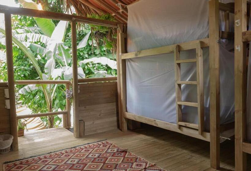 Rio Hostel Buritaca